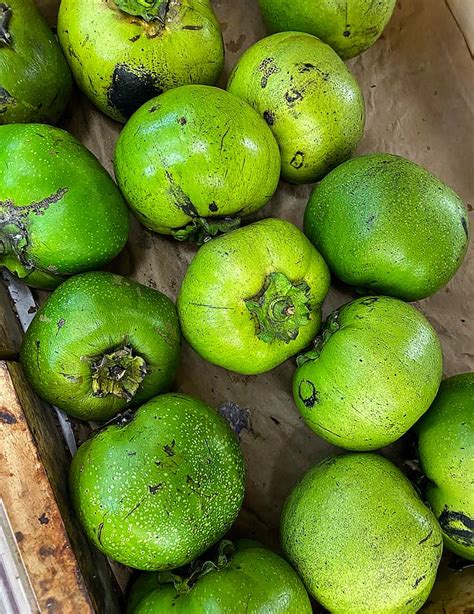 red apple zapote